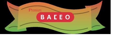 Logo Premium Baceo