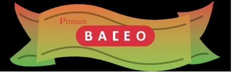 Logo Premium Baceo