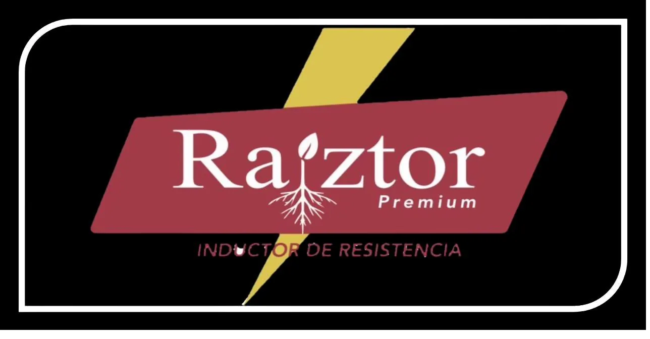 Logo RAIZTOR
